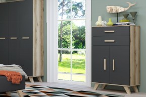 Шкаф низкий Вега Скандинавия в Верхней Пышме - verhnyaya-pyshma.ok-mebel.com | фото 8