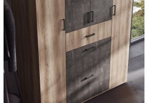 Шкаф платяной Паркинс в Верхней Пышме - verhnyaya-pyshma.ok-mebel.com | фото 3