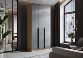 Шкаф платяной Широн в Верхней Пышме - verhnyaya-pyshma.ok-mebel.com | фото 4