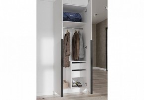 Шкаф платяной Широн в Верхней Пышме - verhnyaya-pyshma.ok-mebel.com | фото 3