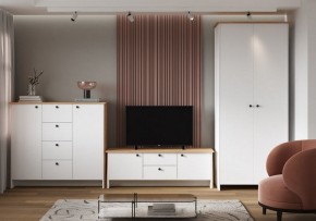 Шкаф платяной Теодора в Верхней Пышме - verhnyaya-pyshma.ok-mebel.com | фото 4