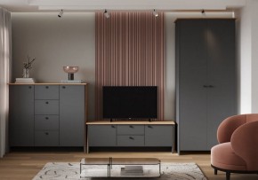 Шкаф платяной Теодора в Верхней Пышме - verhnyaya-pyshma.ok-mebel.com | фото 3