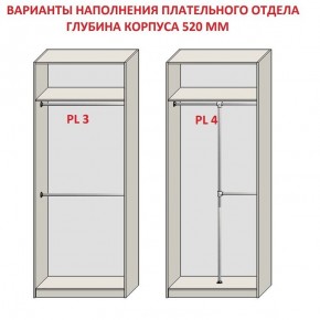 Шкаф распашной серия «ЗЕВС» (PL3/С1/PL2) в Верхней Пышме - verhnyaya-pyshma.ok-mebel.com | фото 10