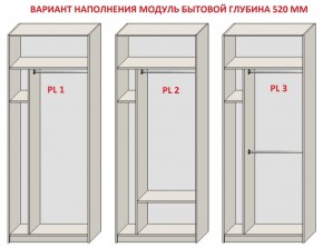 Шкаф распашной серия «ЗЕВС» (PL3/С1/PL2) в Верхней Пышме - verhnyaya-pyshma.ok-mebel.com | фото 5