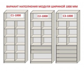 Шкаф распашной серия «ЗЕВС» (PL3/С1/PL2) в Верхней Пышме - verhnyaya-pyshma.ok-mebel.com | фото 7