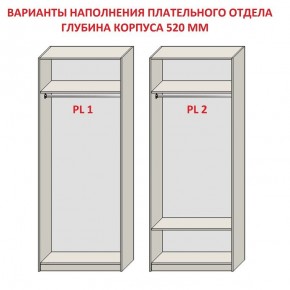 Шкаф распашной серия «ЗЕВС» (PL3/С1/PL2) в Верхней Пышме - verhnyaya-pyshma.ok-mebel.com | фото 9