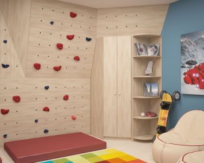 Шкаф угловой Мария 880*880 (ЛДСП 1 кат.) в Верхней Пышме - verhnyaya-pyshma.ok-mebel.com | фото 8
