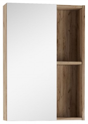 Шкаф-зеркало Craft 50 левый/правый Домино (DCr2212HZ) в Верхней Пышме - verhnyaya-pyshma.ok-mebel.com | фото