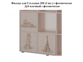 Стеллаж ДМ (ТМК) в Верхней Пышме - verhnyaya-pyshma.ok-mebel.com | фото 5