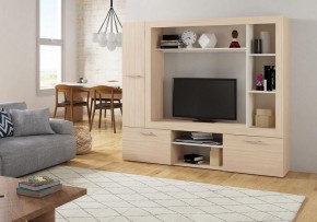 Стенка для гостиной Огюст в Верхней Пышме - verhnyaya-pyshma.ok-mebel.com | фото
