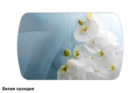 Стол Бостон-2 (1100*700) опоры Брифинг в Верхней Пышме - verhnyaya-pyshma.ok-mebel.com | фото 3