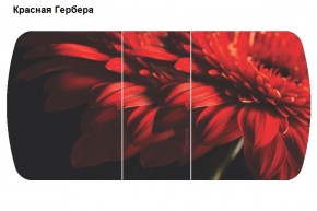 Стол Бостон-3 (1100/1420*700) опоры Брифинг в Верхней Пышме - verhnyaya-pyshma.ok-mebel.com | фото 5