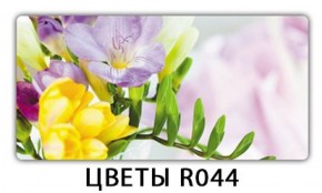 Стол раздвижной Бриз лайм R156 Орхидея R041 в Верхней Пышме - verhnyaya-pyshma.ok-mebel.com | фото 16