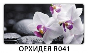 Стол раздвижной Бриз орхидея R041 Доска D110 в Верхней Пышме - verhnyaya-pyshma.ok-mebel.com | фото 4