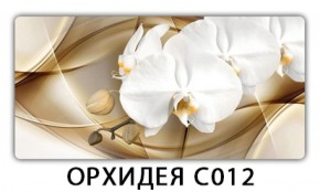 Стол раздвижной Трилогия с фотопечатью Орхидея C012 в Верхней Пышме - verhnyaya-pyshma.ok-mebel.com | фото 13