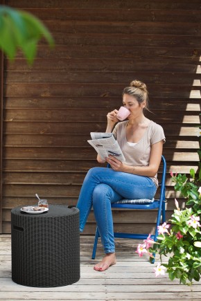 Столик-холодильник Кул-Стул (Cool stool) графит в Верхней Пышме - verhnyaya-pyshma.ok-mebel.com | фото