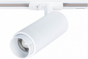 Светильник на штанге Arte Lamp Merak A3530PL-1WH в Верхней Пышме - verhnyaya-pyshma.ok-mebel.com | фото