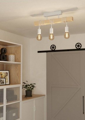 Светильник на штанге Eglo TOWNSHEND 44082 в Верхней Пышме - verhnyaya-pyshma.ok-mebel.com | фото 2