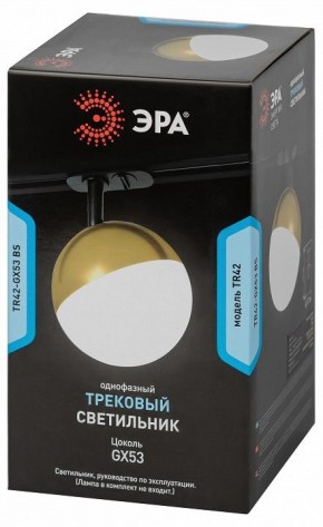 Светильник на штанге Эра  TR42-GX53 BS в Верхней Пышме - verhnyaya-pyshma.ok-mebel.com | фото 6