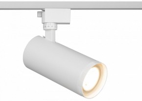 Светильник на штанге Эра  TR59 - 3030 WH в Верхней Пышме - verhnyaya-pyshma.ok-mebel.com | фото