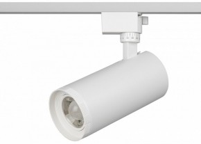 Светильник на штанге Эра  TR59 - 3030 WH в Верхней Пышме - verhnyaya-pyshma.ok-mebel.com | фото 2