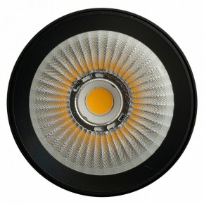 Светильник на штанге Feron TR Reflex 52059 в Верхней Пышме - verhnyaya-pyshma.ok-mebel.com | фото 12