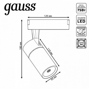Светильник на штанге Gauss Track Light TR060 в Верхней Пышме - verhnyaya-pyshma.ok-mebel.com | фото 5