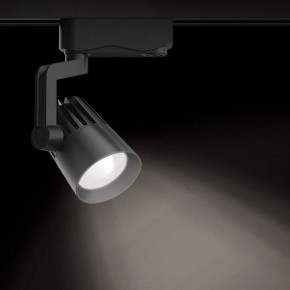 Светильник на штанге Gauss Track Light TR061 в Верхней Пышме - verhnyaya-pyshma.ok-mebel.com | фото 2