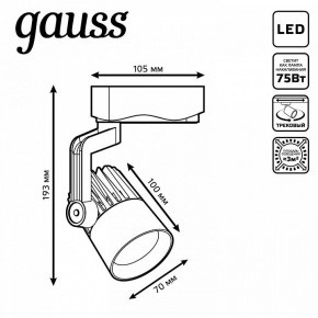Светильник на штанге Gauss Track Light TR061 в Верхней Пышме - verhnyaya-pyshma.ok-mebel.com | фото 6