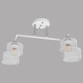 Светильник на штанге Imex MD.4252 MD.4252-2-S-WH+CH в Верхней Пышме - verhnyaya-pyshma.ok-mebel.com | фото