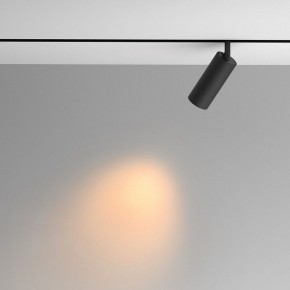 Светильник на штанге Maytoni Artisan TR097-2-12W2.7K-M-BB в Верхней Пышме - verhnyaya-pyshma.ok-mebel.com | фото 4