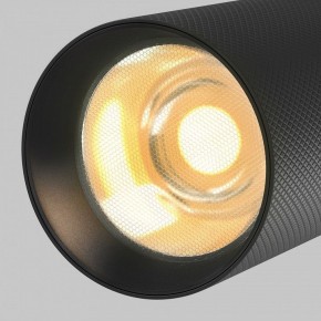 Светильник на штанге Maytoni Artisan TR097-2-12W2.7K-M-BB в Верхней Пышме - verhnyaya-pyshma.ok-mebel.com | фото 9