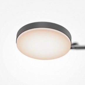 Светильник на штанге Maytoni Fad MOD070CL-L15B3K1 в Верхней Пышме - verhnyaya-pyshma.ok-mebel.com | фото 7