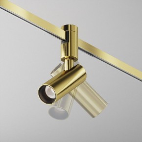 Светильник на штанге Maytoni Focus Led TR144-1-5W4K-W-BS в Верхней Пышме - verhnyaya-pyshma.ok-mebel.com | фото 2