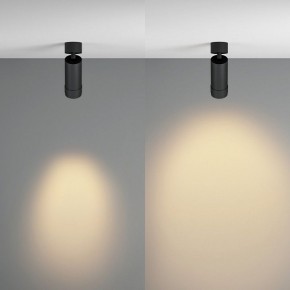 Светильник на штанге Maytoni Focus Zoom C055CL-L12W2.7K-Z-B в Верхней Пышме - verhnyaya-pyshma.ok-mebel.com | фото 3