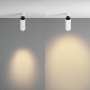 Светильник на штанге Maytoni Focus Zoom C055CL-L12W2.7K-Z-W в Верхней Пышме - verhnyaya-pyshma.ok-mebel.com | фото 3