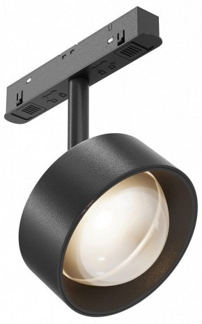 Светильник на штанге Maytoni Lens TR217-2-15W3K-B в Верхней Пышме - verhnyaya-pyshma.ok-mebel.com | фото