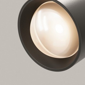 Светильник на штанге Maytoni Lens TR217-2-15W3K-B в Верхней Пышме - verhnyaya-pyshma.ok-mebel.com | фото 12