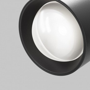 Светильник на штанге Maytoni Lens TR217-4-15WTW-DD-B в Верхней Пышме - verhnyaya-pyshma.ok-mebel.com | фото 12