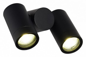 Светильник на штанге ST-Luce Ecollo SL9011.402.02 в Верхней Пышме - verhnyaya-pyshma.ok-mebel.com | фото 3
