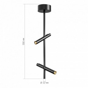 Светильник на штанге ST-Luce LILT SL6210.403.02 в Верхней Пышме - verhnyaya-pyshma.ok-mebel.com | фото 3