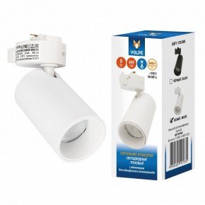 Светильник на штанге Volpe ULB-Q276 UL-00011817 в Верхней Пышме - verhnyaya-pyshma.ok-mebel.com | фото 2