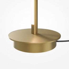 Торшер Maytoni Thin MOD395FL-L28BS3K в Верхней Пышме - verhnyaya-pyshma.ok-mebel.com | фото 7