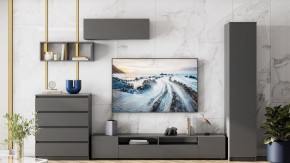 Тумба под ТВ Сибити в Верхней Пышме - verhnyaya-pyshma.ok-mebel.com | фото 3