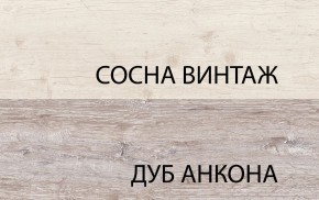 Тумба RTV 1D2SN, MONAKO, цвет Сосна винтаж/дуб анкона в Верхней Пышме - verhnyaya-pyshma.ok-mebel.com | фото 3