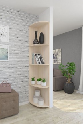 Угловой элемент (250*480*2000) в Верхней Пышме - verhnyaya-pyshma.ok-mebel.com | фото