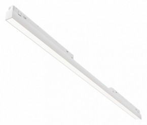 Встраиваемый светильник Maytoni Basis TR030-4-30WTW-DD2-W в Верхней Пышме - verhnyaya-pyshma.ok-mebel.com | фото