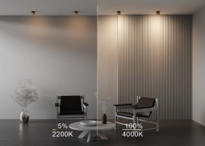 Встраиваемый светильник Maytoni Onda DL024-12W-DTW-BMG в Верхней Пышме - verhnyaya-pyshma.ok-mebel.com | фото 9