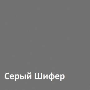 Юнона Шкаф торцевой 13.221 в Верхней Пышме - verhnyaya-pyshma.ok-mebel.com | фото 2