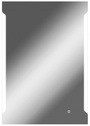 Зеркало Оттава 1000х700 с подсветкой Домино (GL7028Z) в Верхней Пышме - verhnyaya-pyshma.ok-mebel.com | фото 1